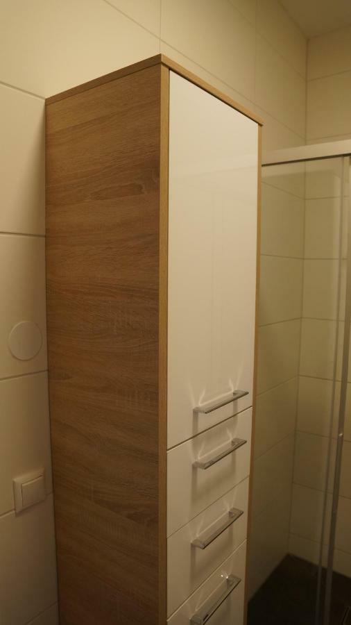Haus Konny Διαμέρισμα Schladming Εξωτερικό φωτογραφία