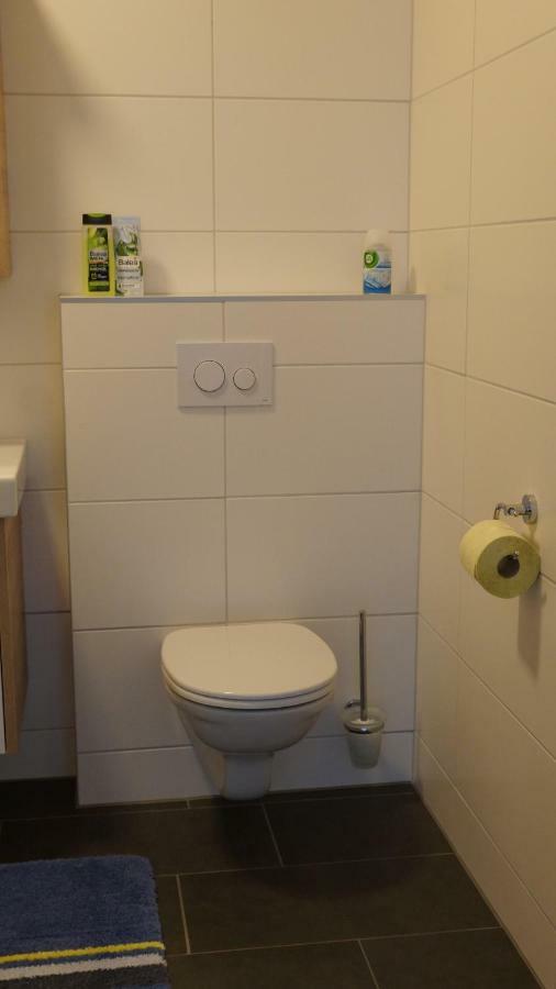 Haus Konny Διαμέρισμα Schladming Εξωτερικό φωτογραφία